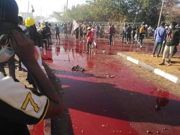 The coup forces cracked down on protesters near the presidential palace