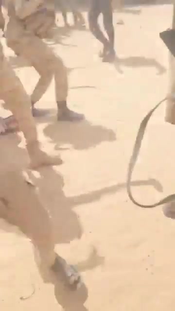 Rapid Support Forces militia members announce they have seized control of the Al-Tina locality, bordering Chad in western Sudan.